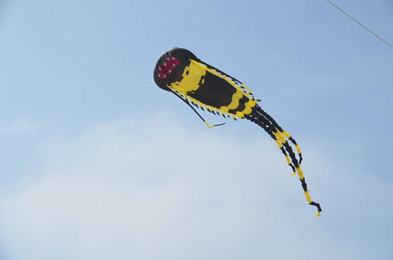 bray dunes 2018 083.JPG